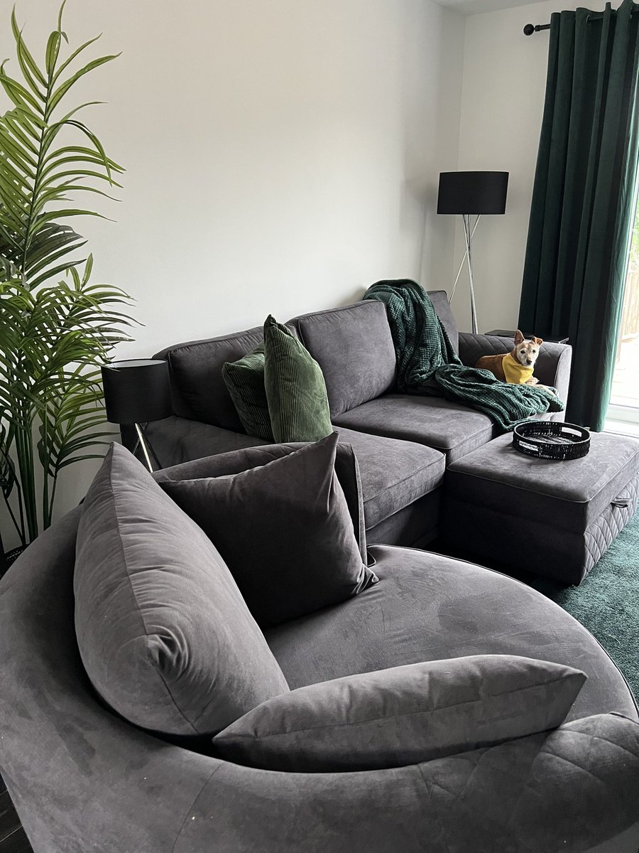 Efffffeee's tweet photo. Happy new couch day 💚 https://t.co/UeFfeWPmgt