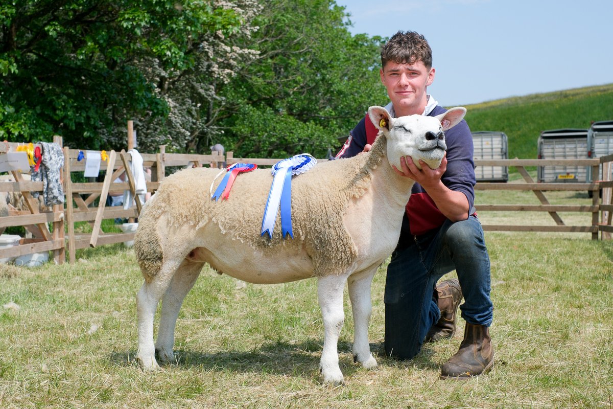 Congratulations to Brad Wharton, overall champion at Greenholme Show today with his *whisper* Texel...   #SheepOfTheDay