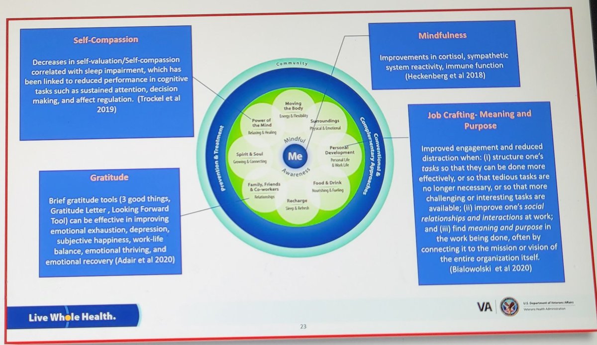 Fantastic showcase by Dr. Reddy on how the #WholeHealth model of care, endorsed by @NASEM_Health, helps our veterans and clinicians @VeteransHealth. Great focus this year @ILMLifestyleMed @EddiePhillipsMD on #wellbeing and system drivers of #burnout. #HarvardLifestyleMedicine