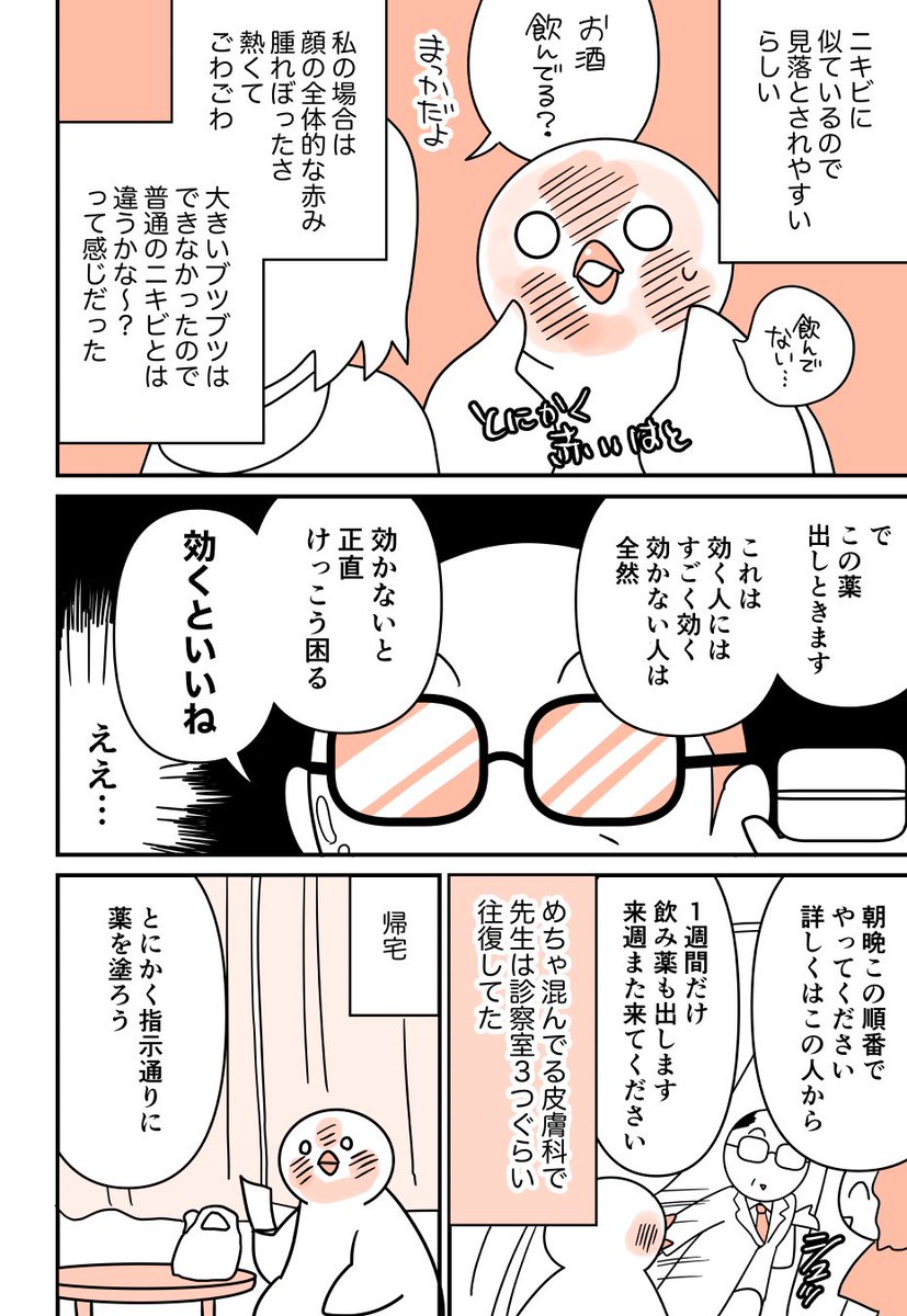 顔ダニと私 🐛🕊(③/3) #はとにっき