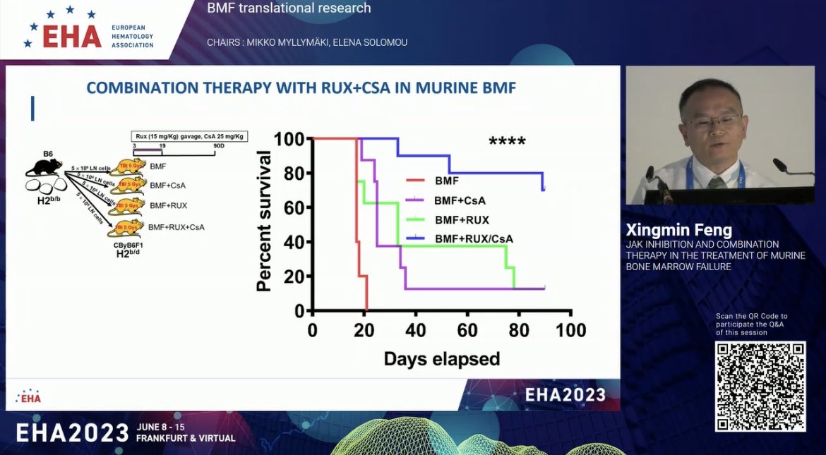 emmamgroarke's tweet image. Our @nih_nhlbi scientist Xingmin Feng presented an extension of our work using Ruxolitinib in our immune #BMFsm 🐭 model. Low Rux / CSA was effective in rescuing BMF. Baricitinib and Tofacitinib were less effective than full dose Rux. Clinical trial for Rux coming soon! #EHA2023