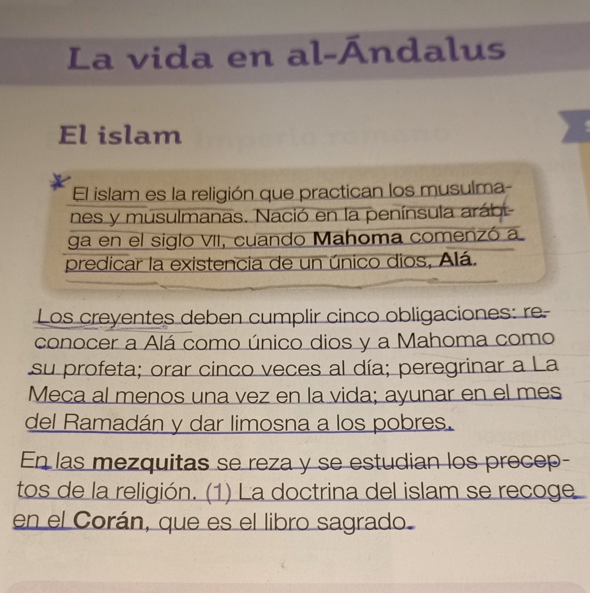 Tres párrafos de un libro de quinto de primaria. Más de cuatro palabras que un alumno de  10 años no entiende. En la escuela nadie le ha dicho que hay que leer con el diccionario en la mano. Ahi tienen la realidad de la comprensión lectora. Yo soy su madre, no su maestra.