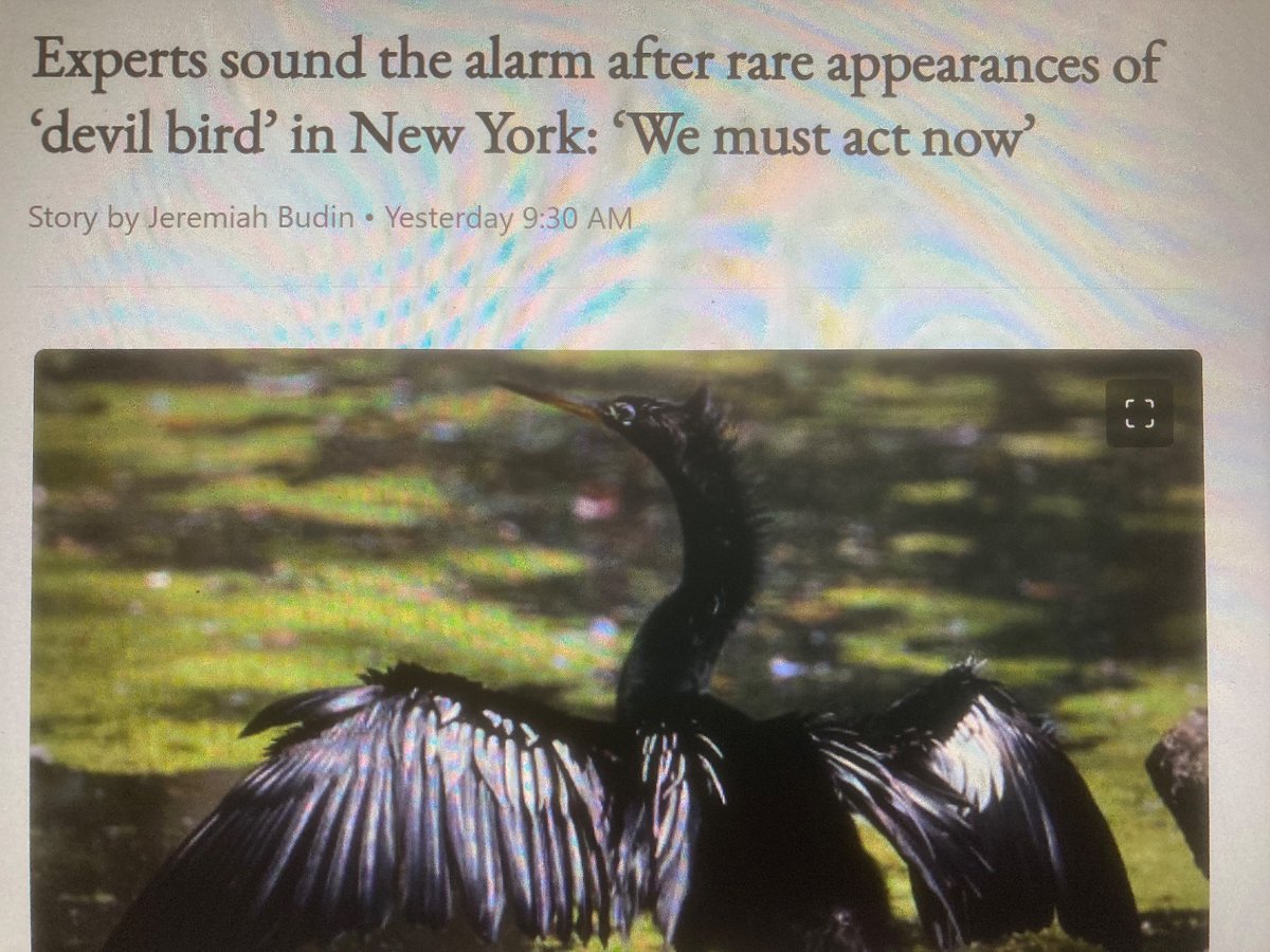 Morales4SDMayor's tweet image. What do #SanDiego #ToniDem picked #EnvironmentalExperts &amp;amp; #NonProfits say
‘We support developer profits, we mean #Democrats, we mean the interests is those funding us…’ 
#CoastCreapers 
#SnurfRiders 
#PredatoryDevelopers / #SanDiegoPoliticas
