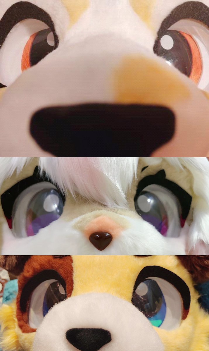 来自单主的怼脸拍
*SNIFF SNIFF*

#fursuit #兽装