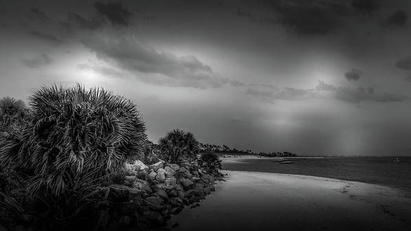 Scenic View of The Bay at St. Andrews State Park buff.ly/3J2a8o7 #FloridaParks #blackandwhitephotography  #fineartphotography  #BuyIntoArt #Wallart