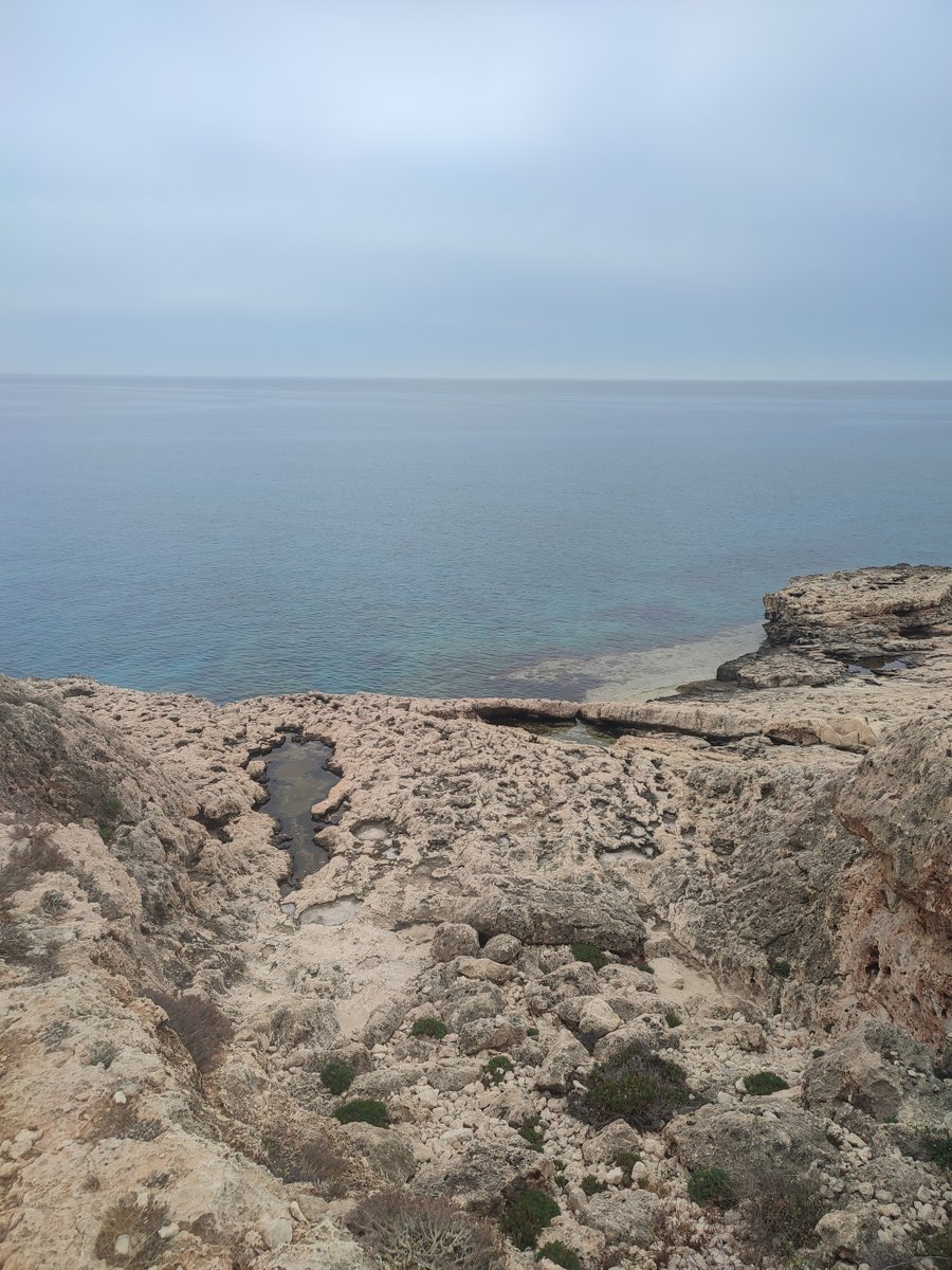 CyprusWalksEtc's tweet photo. Cool June walk last Thursday around Cape Greko - atypically calm sea on the south coast. Enjoy the weekend. Keep on walking! Keep on exploring!
#capegreko #walk #wandern https://t.co/4QswvscjT3