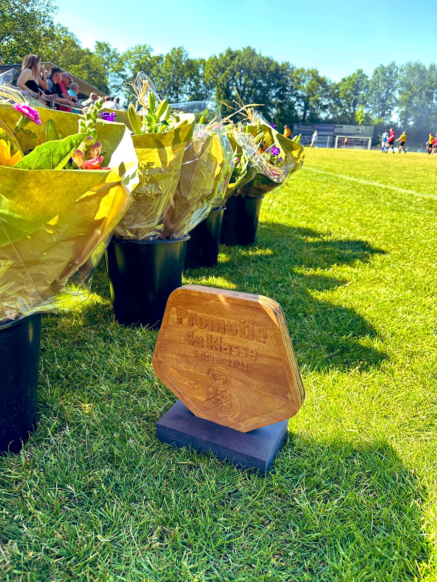 VAKO op naar de vierde klassse !