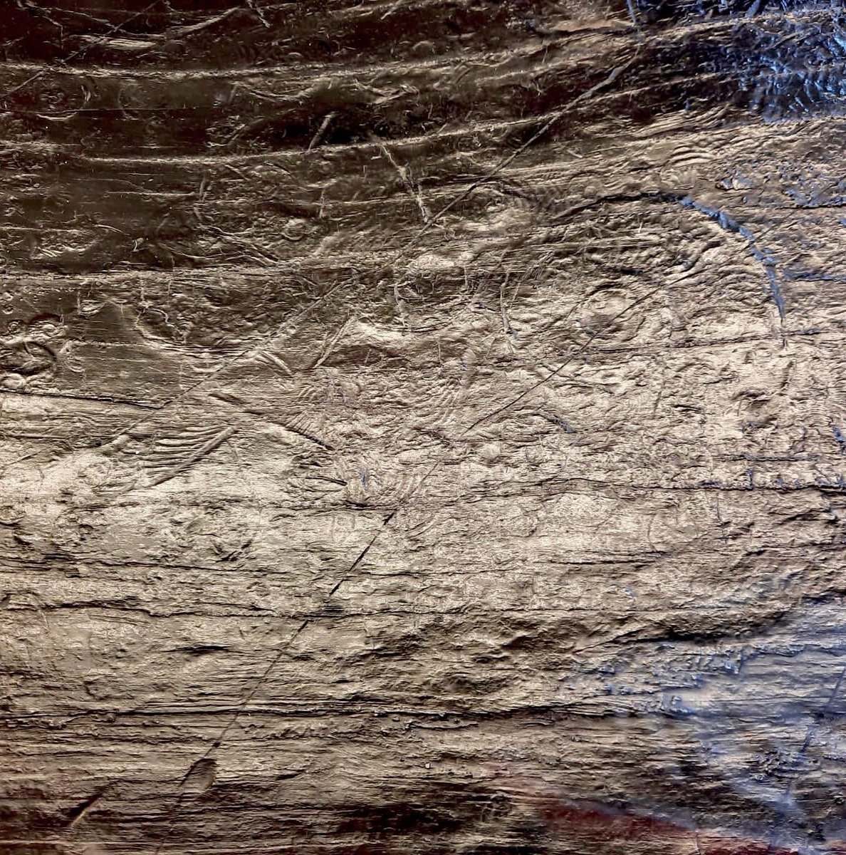 museumwhitbyjet's tweet photo. At this years #YorkshireFossilFestival we’re showcasing the world’s largest specimen of #WhitbyJet, covered with impressions of shells and marine life from the Jurassic era.
The specimen will be on display in the Normanby room @WhitbyMuseum with our retail stand in the marquee. https://t.co/eiUj8hZybD