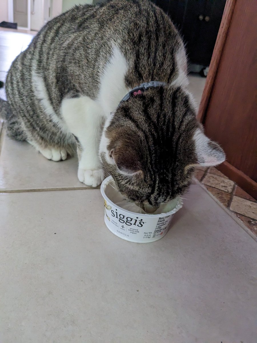 Him likes Greek yogurt.