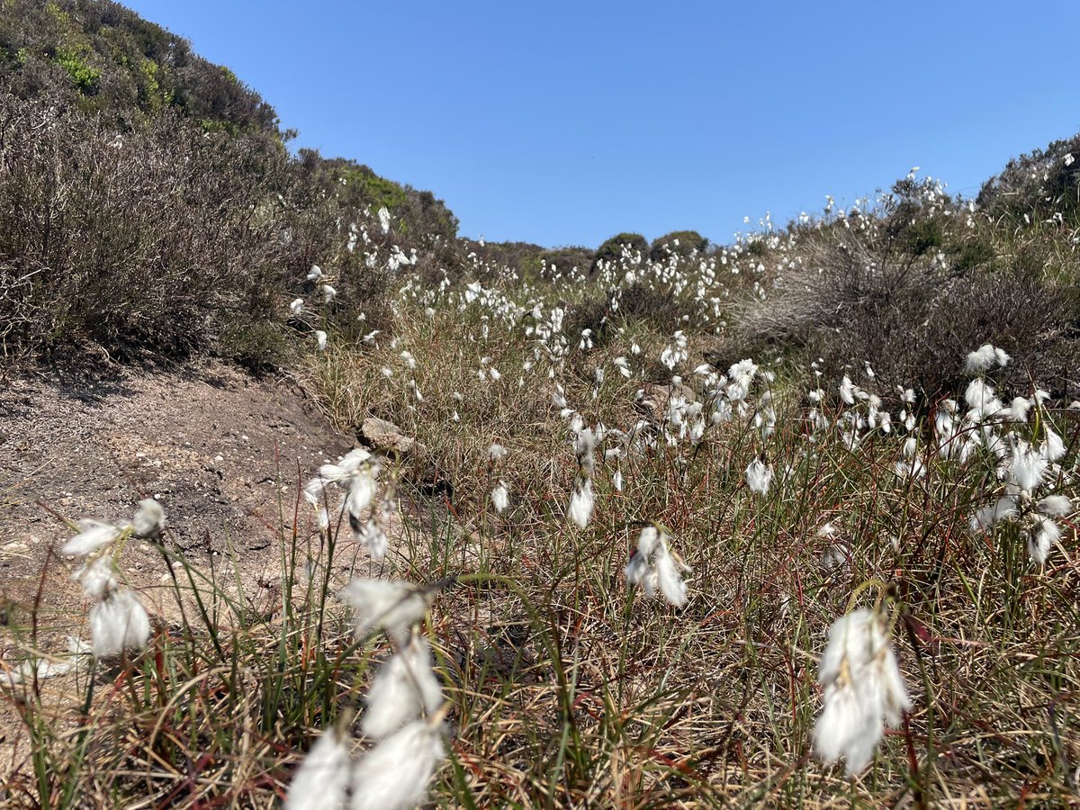 PiedATerreAdventures tweet media