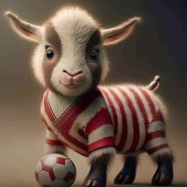 chesshollywood's tweet image. Miren esta joya❤️🤍