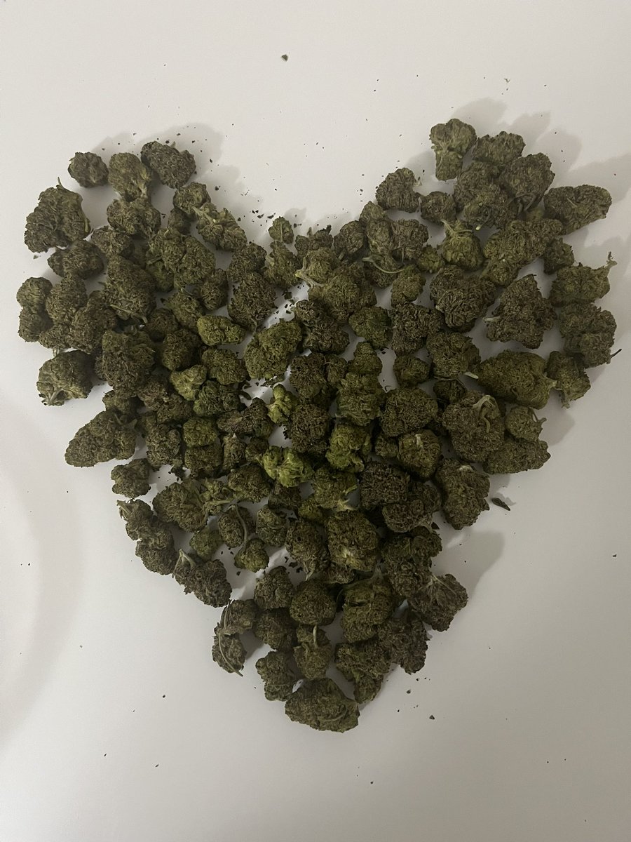 Herbworthy's tweet photo. Home is where the heart is. 😍

via @itstylersays https://t.co/bbqYzp05jC
