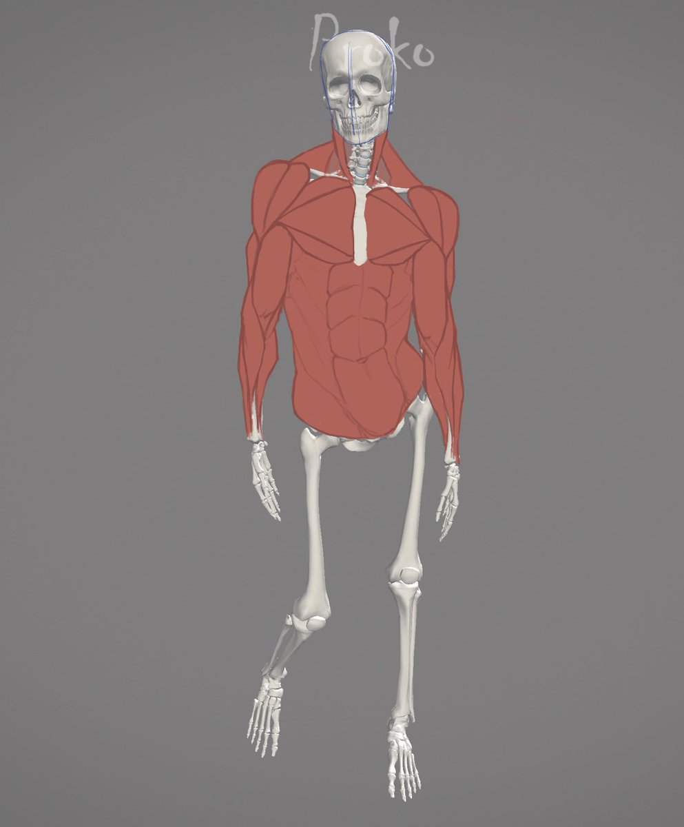 Kimal_art593's tweet image. #JuneStudyJam day “I just discovered this right now”