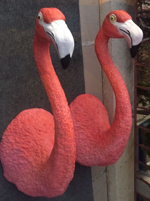 flamingo polyester