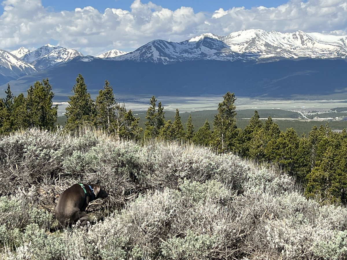 Not photoshopped. Frankie loved making decisions at places with the best views.