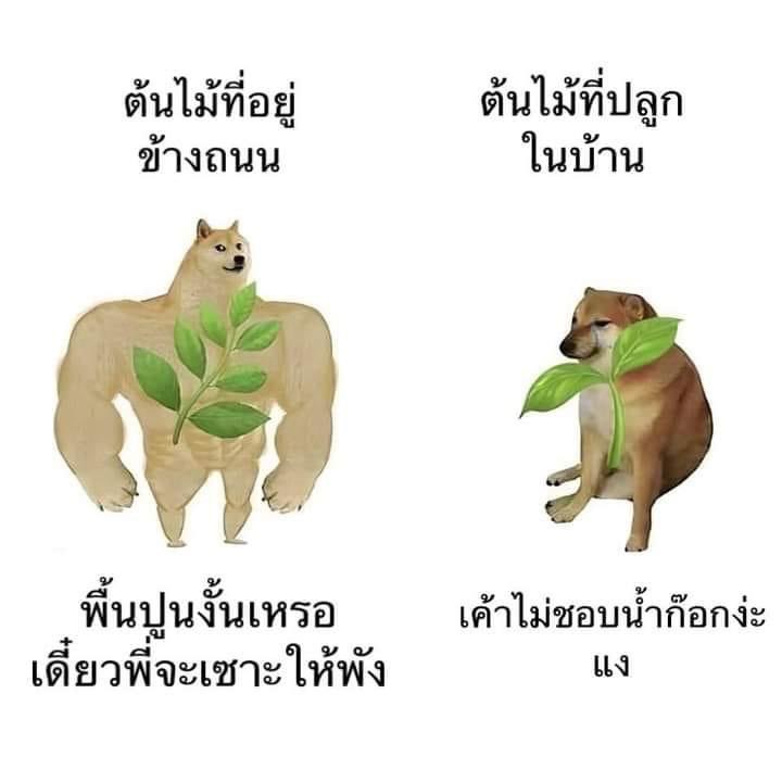 ลักยิ้มเปิดทำการ 🛋️🧸♡ tweet media