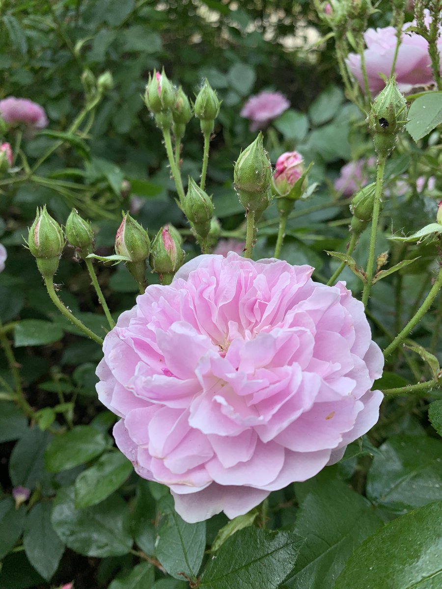 Helen Matthew ⛰🥾🏕🏑🏃‍♀️🚴‍♀️🏋🏼‍♀️ tweet media