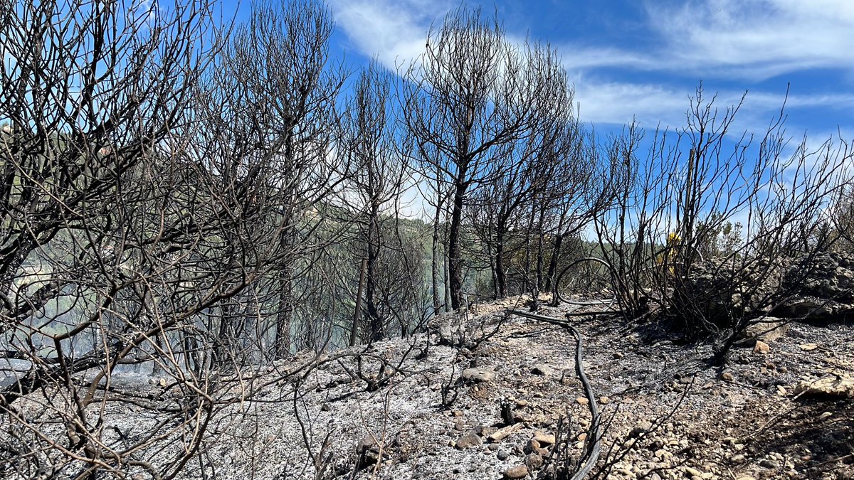 PNMontserrat's tweet photo. Controlat i estabilitzat l'incendi de vegetació forestal originat al Casot de #Marganell gràcies a la ràpida intervenció de l'@adfcat de #Marganell i  @bomberscat https://t.co/igZgzflcwn
