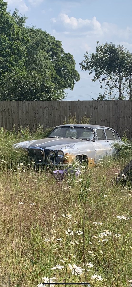 #jaguar mk10? needs some love