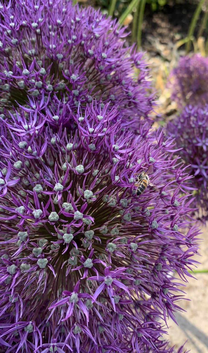 Helen Matthew ⛰🥾🏕🏑🏃‍♀️🚴‍♀️🏋🏼‍♀️ tweet media