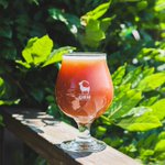 Photo by Old Bust Head Brew (@oldbustheadbrew)