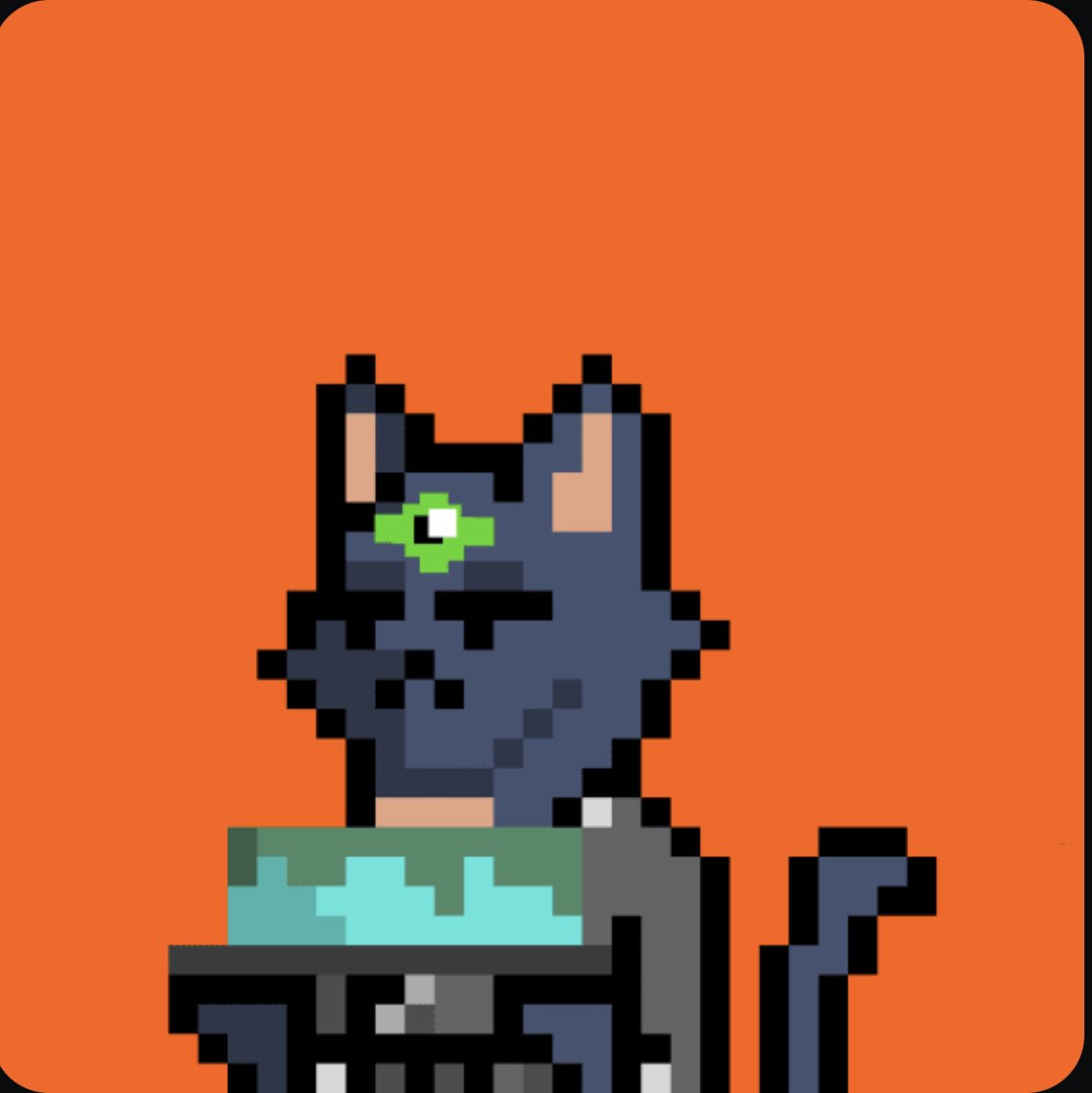 vanillafunk713's tweet photo. Everybody fudding over @SECGov and I’m just over here minting free @Ff6000Cats 🤷🏻‍♂️

$PSYOP @thisisorange #FF6000 @psyopeth https://t.co/b09VPoCQXA