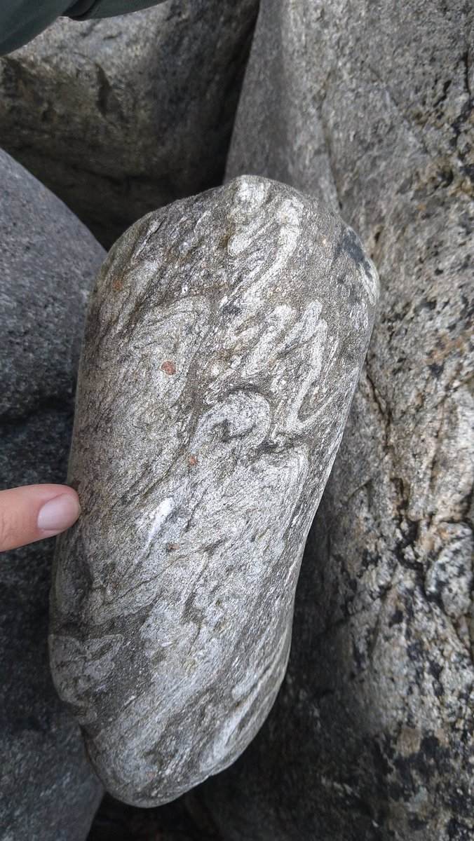 Hugo van Schrojenstein Lantman tweet media