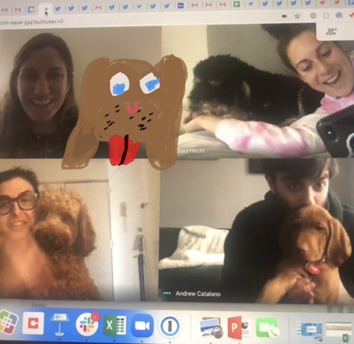 Leah Doctor Rosenberg tweet media