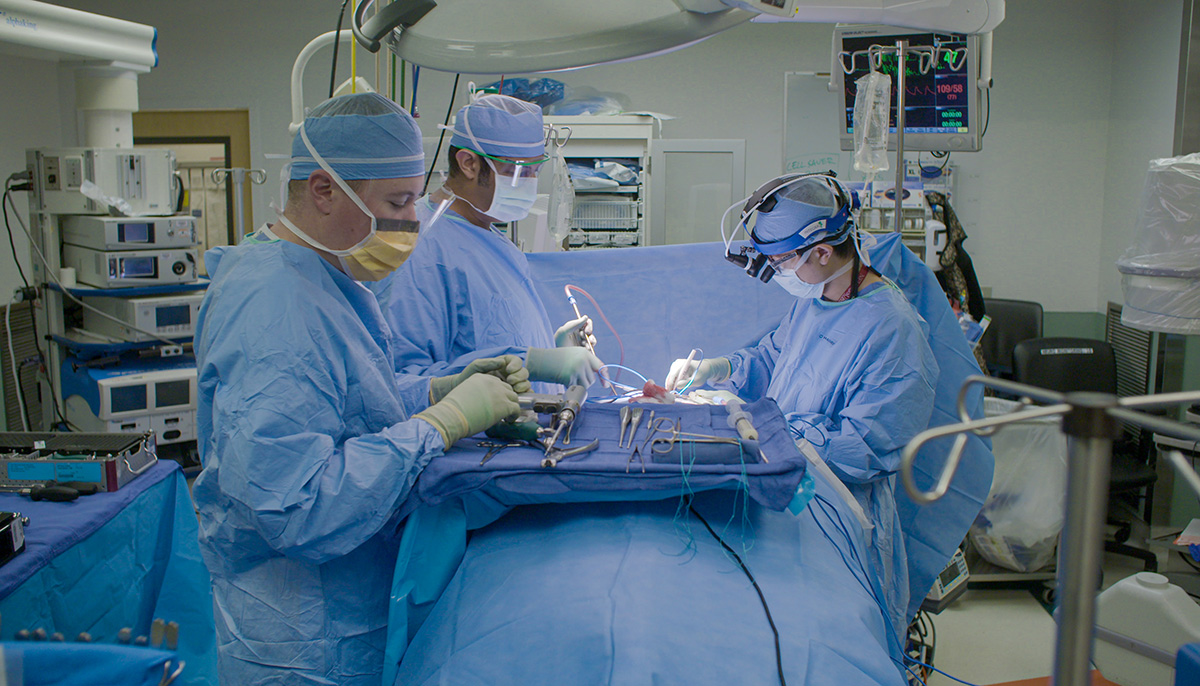 UCSF Neurosurgery tweet media