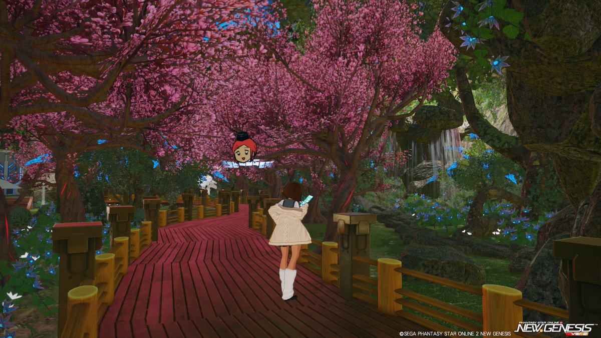 punipunikko's tweet photo. この桜もどきって夜になるとうっすら光って綺麗ですよね
#PS02NGS 
#クリエイティブスペース https://t.co/cfF4iQhydg