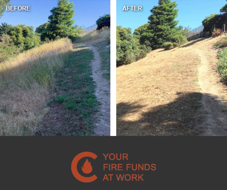 firesafemarin's tweet photo. One of the strategies that @MarinWildfire uses to protect Marin from wildfire is shaded fuel breaks. 

✅ Shaded fuel breaks in strategic areas lowers the wildfire risk of nearby homes and properties. 

#wildfire #wildfireseason #marincounty https://t.co/qwabqk1B6Y