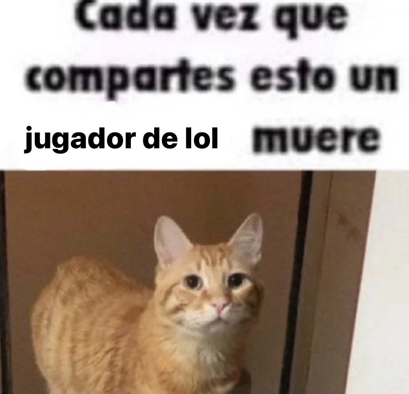 wikipistacho's tweet photo. https://t.co/YBeEgcAICd