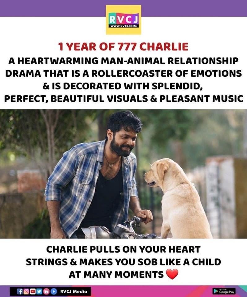 1 year of 777 Charlie!

#777charlie #rakshitshetty #kannadacinema #kannadamovies #sandalwood #rvcjmovies @rakshitshetty