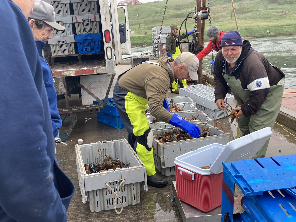 Going to be a good feed tonight! 🦞🦞🦞