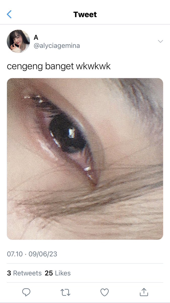 ⨍ tweet media