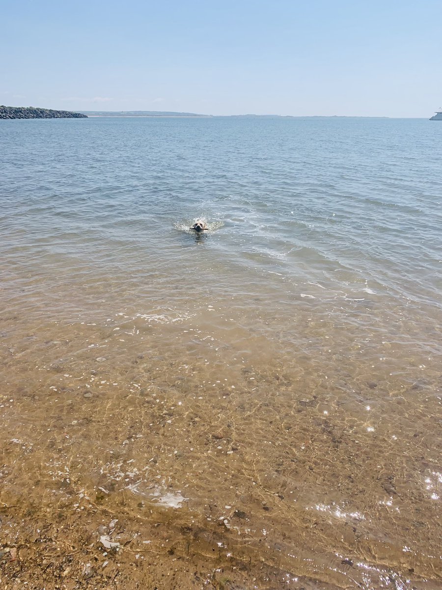 vonmcc18's tweet photo. Had the best time awayโฆโฆ only 2 hours from home itโs like another worldโฆ.. love the Lake District
#millom #staycation #happyandcontented https://t.co/3LyIFJsX6h