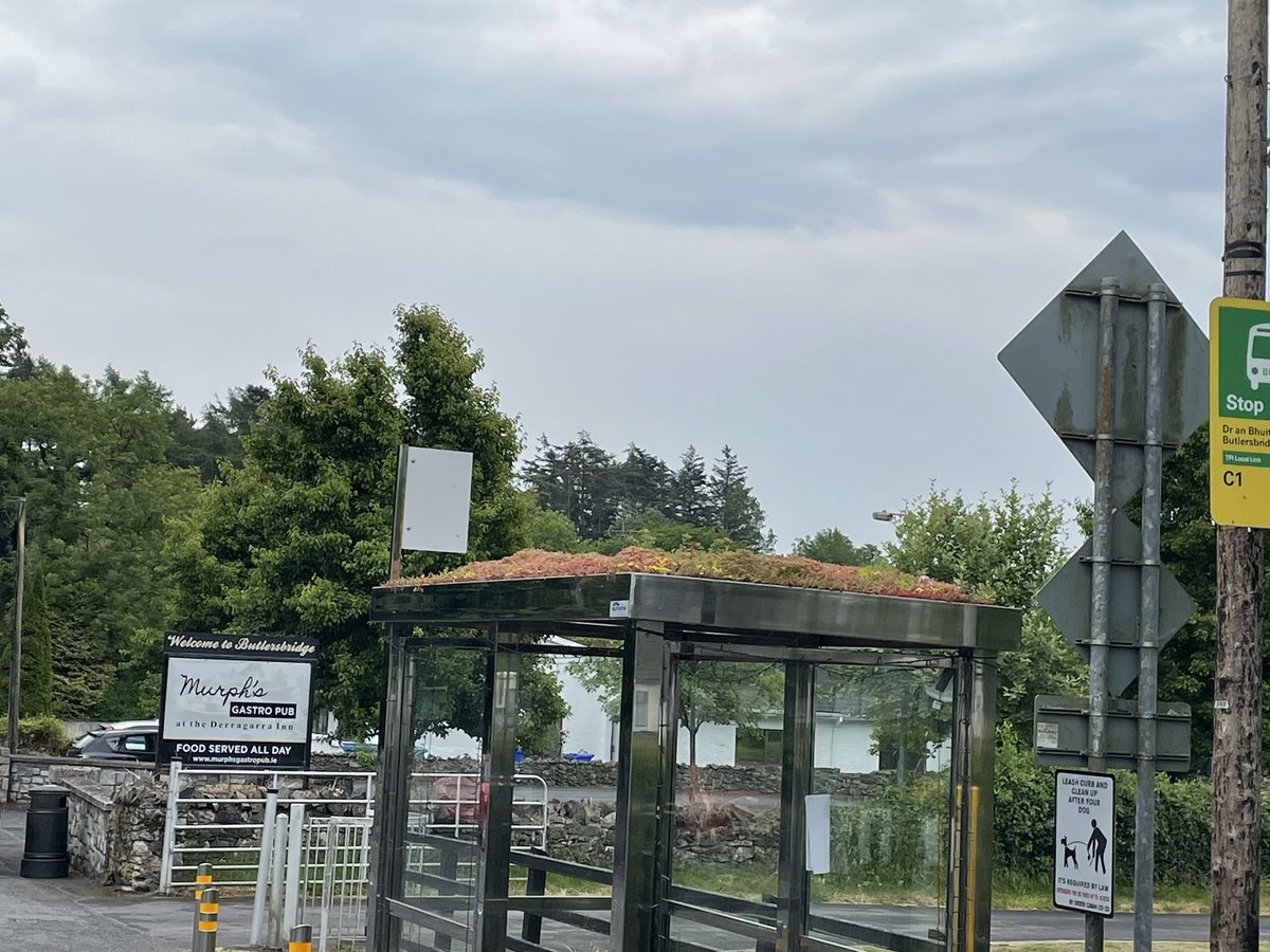 JohnPaulFeeley's tweet photo. 🌸Lovely to be at @ButlersbridgeTT ‘Bloom Day’ this morning. 

🌻Fantastic team doing great work to keep the village beautiful for everyone. 

🌷Even the bus stop is blooming - a great conservation idea!

@TidyTownsIre @ThisIsCavan @cavancoco @HeartlandsIRL @BbridgeGAA https://t.co/4OaJ77JIu9