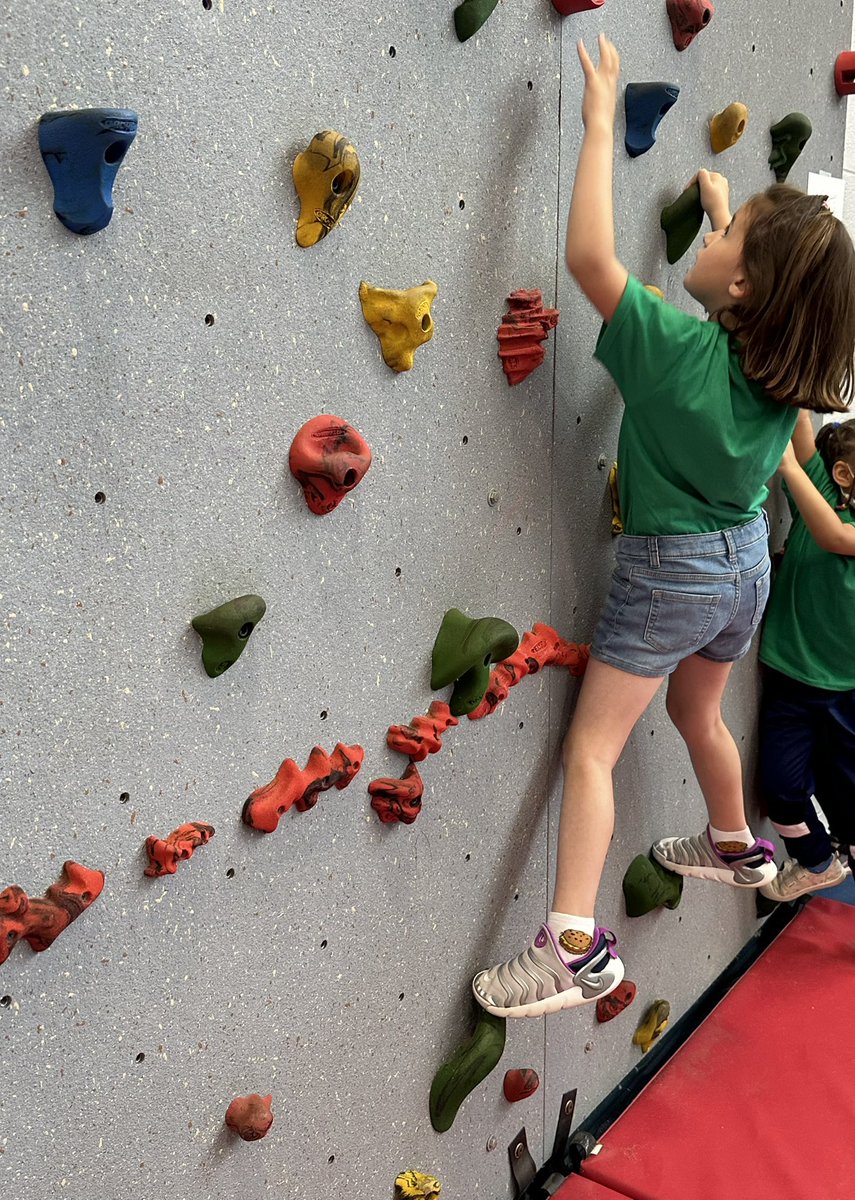 Sara Costa tweet media