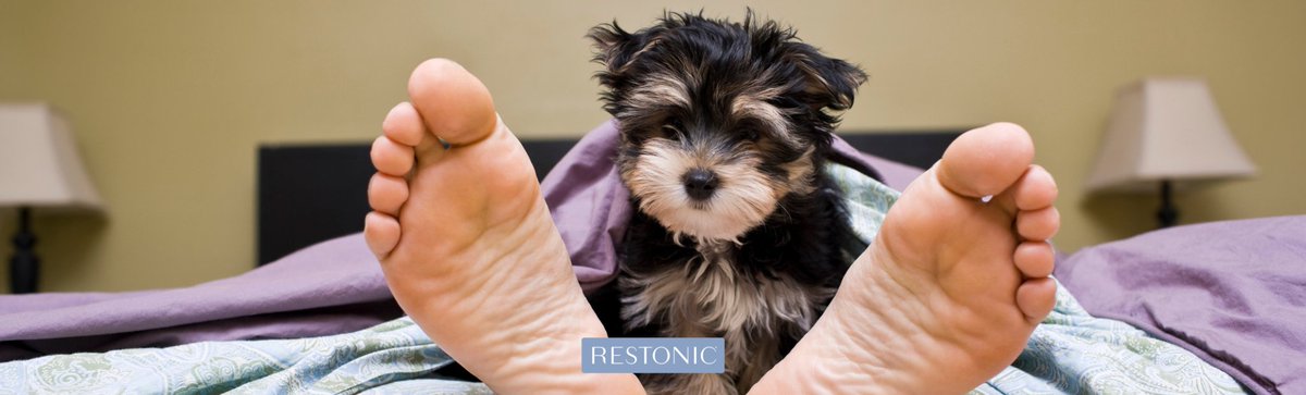 Your guide to the best nap of your life starts here => ow.ly/xi1i3 #sleepblog