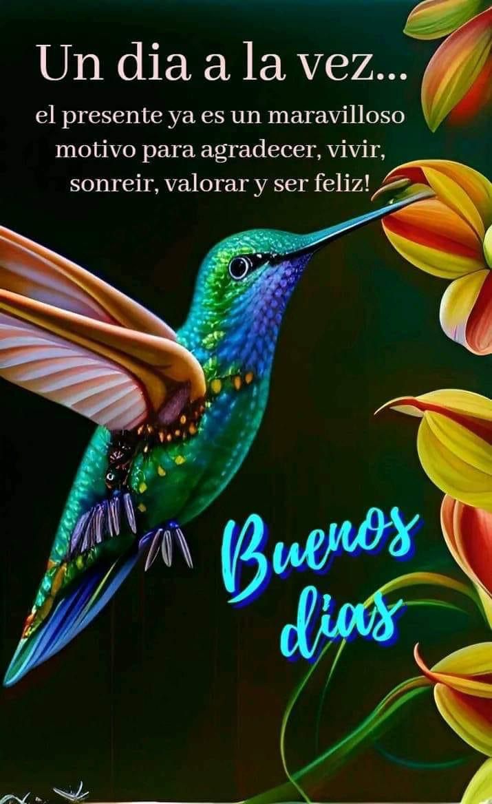 Flor Gaucín (@florgaucin76) on Twitter photo 