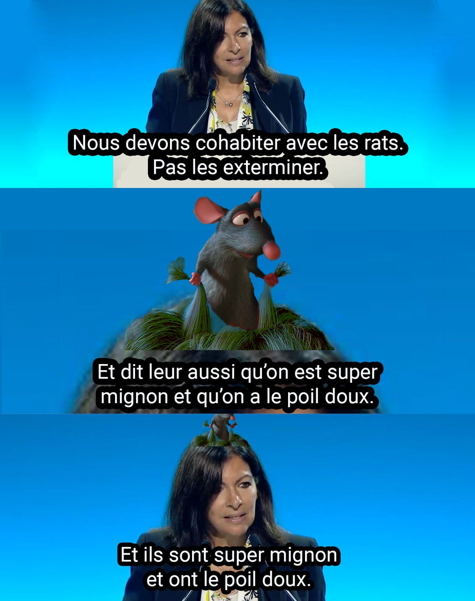 Mème en colab avec @hellogrise  
#surmulots #mairiedeparis #AnneHidalgo