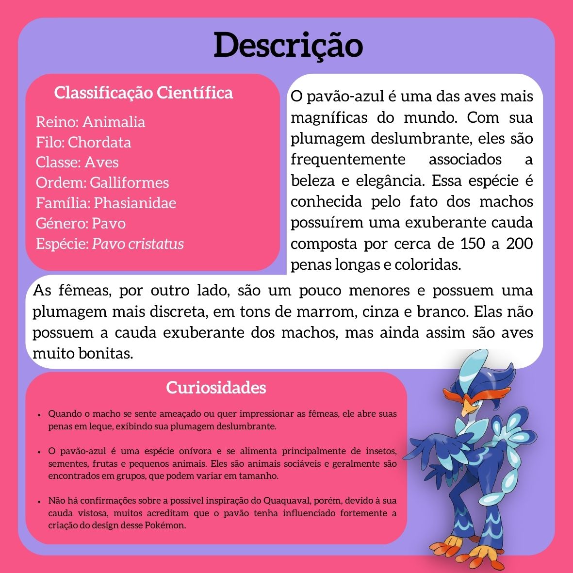 biodex_l's tweet photo. Pavão-Indiano (Pavo cristatus)

◾ No universo Pokémon, este organismo seria do tipo: Psíquico 🟣| Voador 🔵

#biologia #natureza #ciencia #bio #meioambiente #ecologia #biodiversidade #zoologia #botanica #animais #biologo #pokemon #quaquaval #paldea #animalia #pavocristatus https://t.co/0vxNHH6Xe4