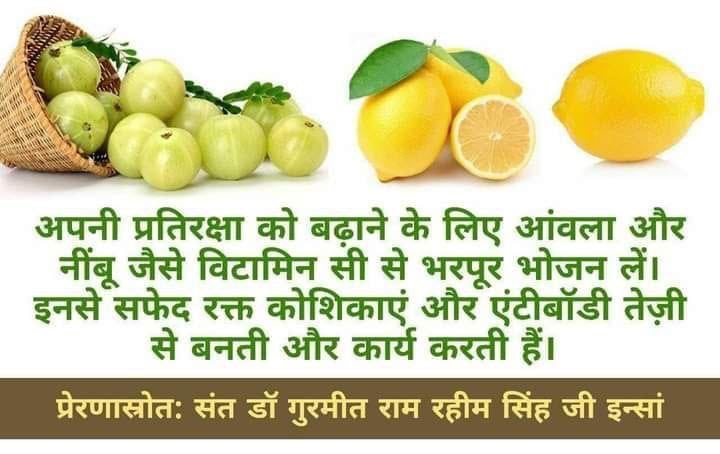 Tony_M444's tweet photo. आजकल लोगों को अपने व्यस्त जीवनशैली के कारण कई स्वास्थ्य समस्याओं का सामना करना पड़ता है।SaintMSG तनावमुक्त जीवन के लिए न केवल आध्यात्मिक ज्ञान और स्वास्थ्य सुधार के टिप्स भी देते हैं हैं। लाखोंलोग #HealthTipsByMSG का उपयोग करके लाभान्वित हुए हैं और बीमारियों से खुद को बचा रहे है। https://t.co/zKhldnDzuU