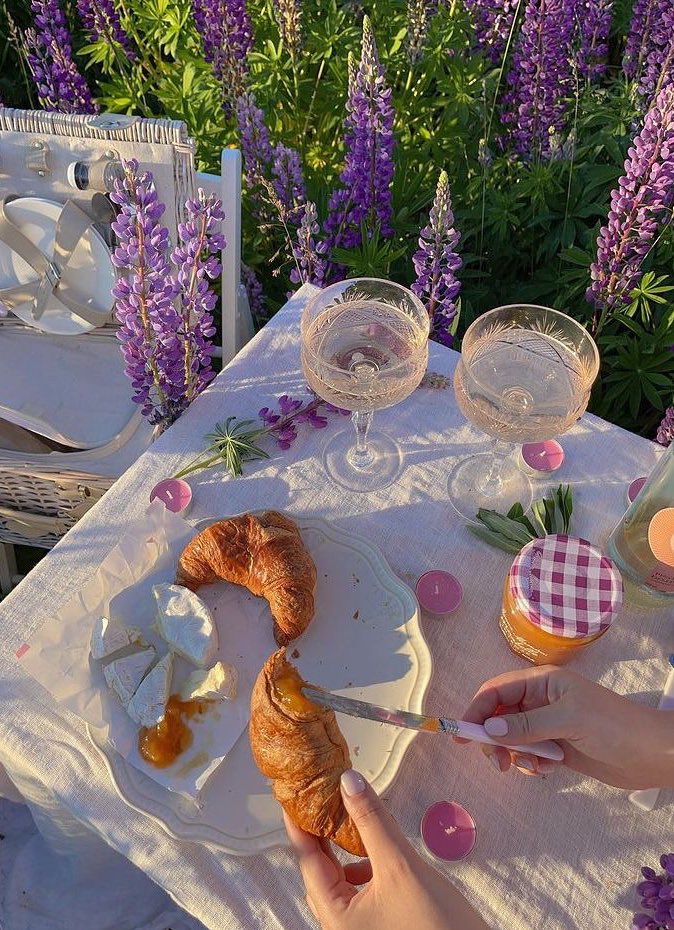 picnics in lavender fields 🧺