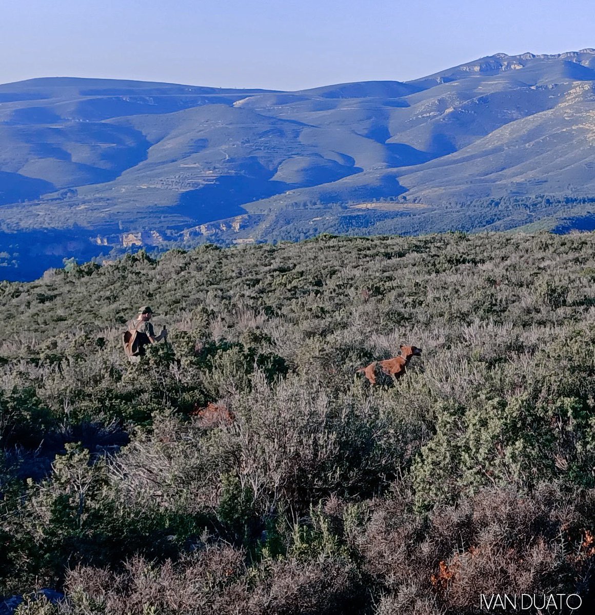 Ivan Duato (@duatoivan_) on Twitter photo 