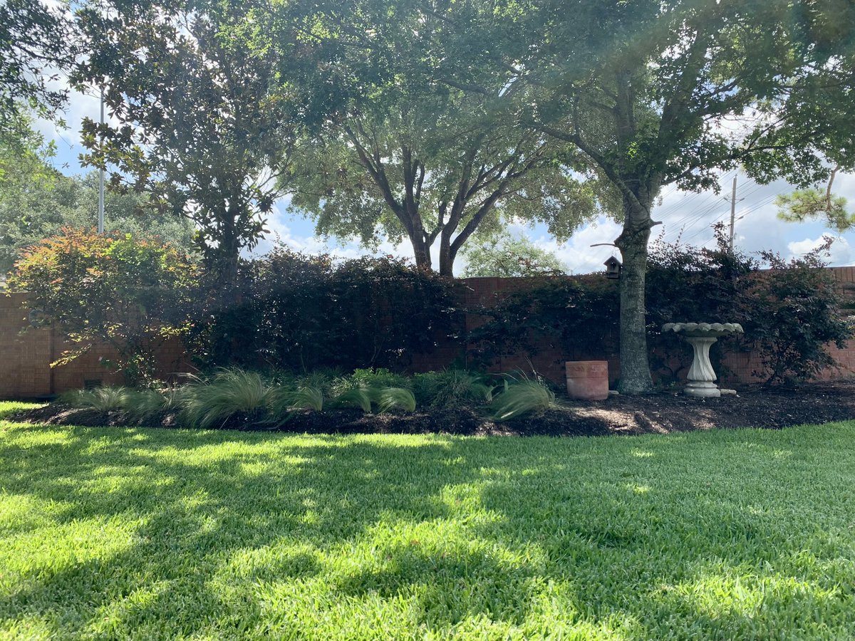 Morning cup of Joe on Saturday morning in my backyard…. sometimes peace and serenity is closer than you think. Make it a great day.