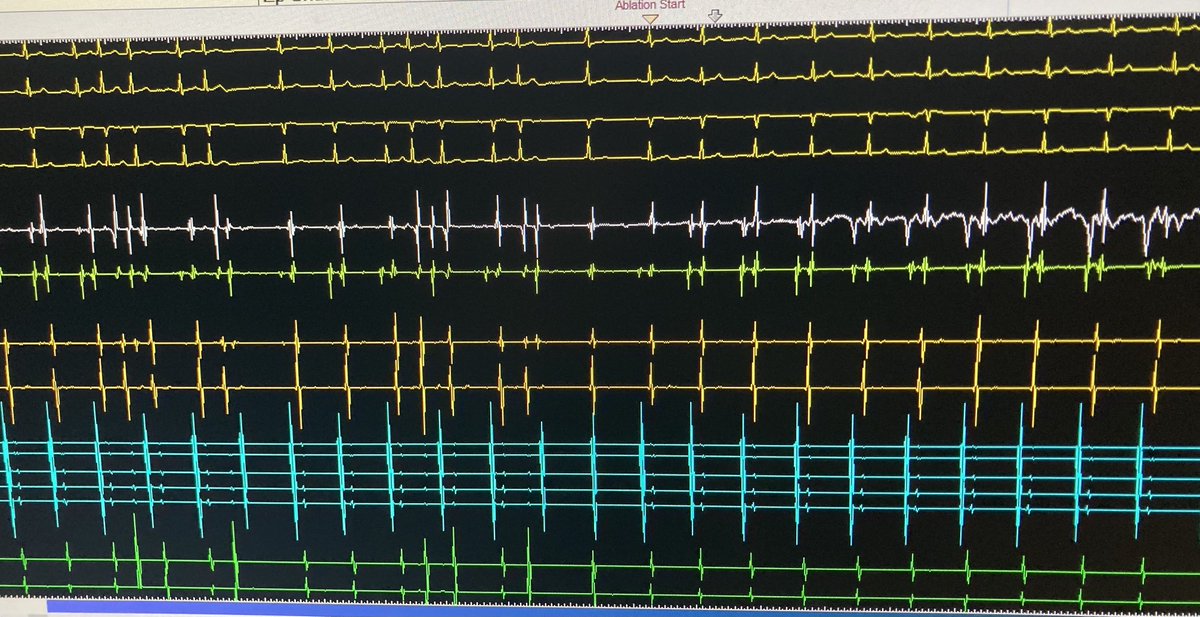 Colin Movsowitz tweet media