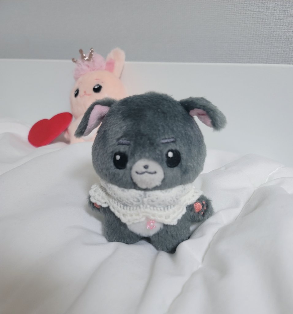 #위너멀즈_널_좋아해
진토깽공주님과 멋쟁이들(?