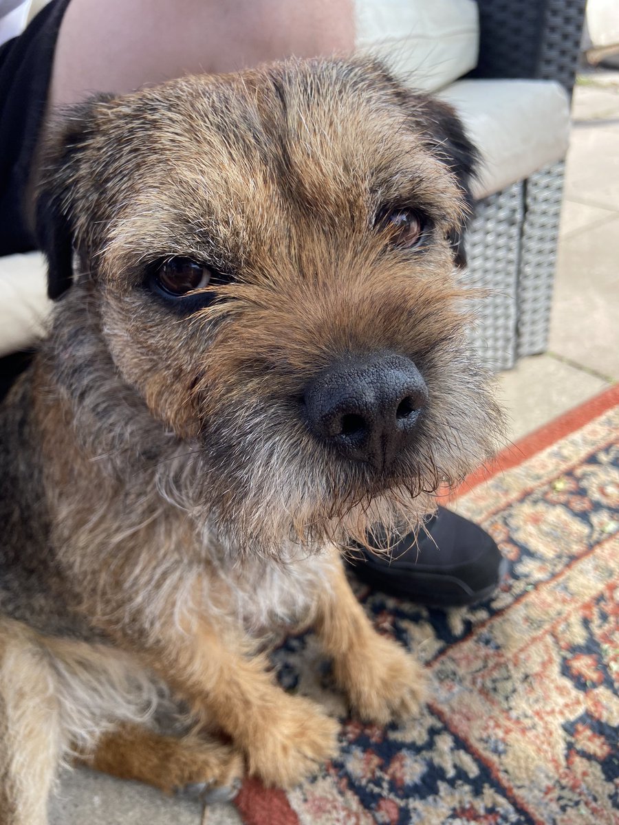 Miss Fizzy tweet media