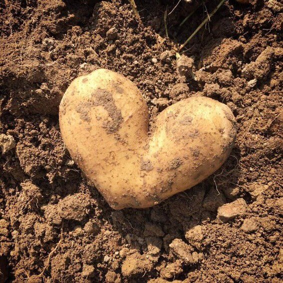 At least once in life
Live where you must collect all
Your food AND your wastes

Be what’s important
Live what you then value most
Enjoy your time passed

Slow down&amp;unplug
Work hard,body&amp;spirit
Tune in AS NATURE

Harvest our own food
Together preparing meals
Support our neighbors